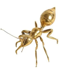 Pharaoh Ant Home