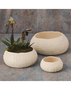 Ceramic Urchin Bowl Home -Global Views 3050555647 RLLD 4