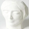 Plaster Faceted Bust Home