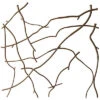 Branch Wall Panel Home